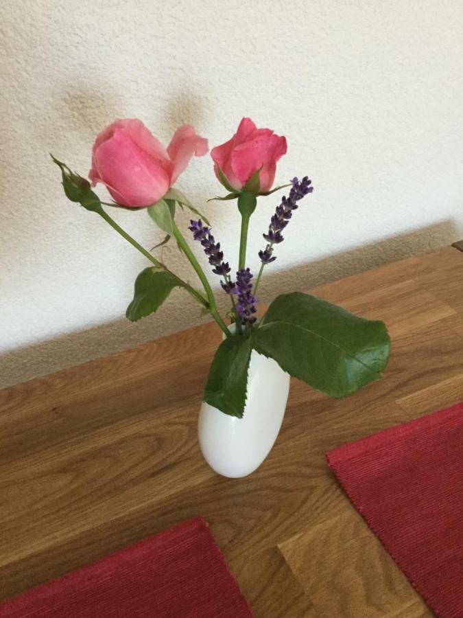 Ferienwohnung Bei Heike & Dirk Kassel Eksteriør bilde